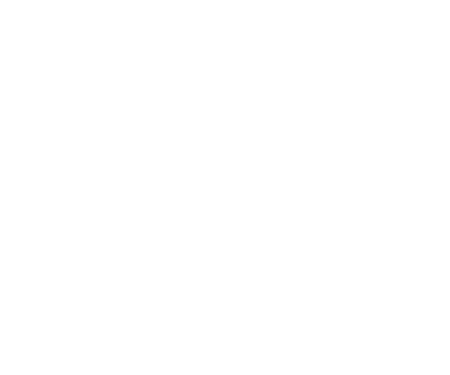 A specialized approach to working with couples